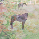 Image for article titled Shooting Challenge: Double Exposure, Gallery